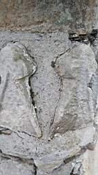 stcronans 2320.jpg